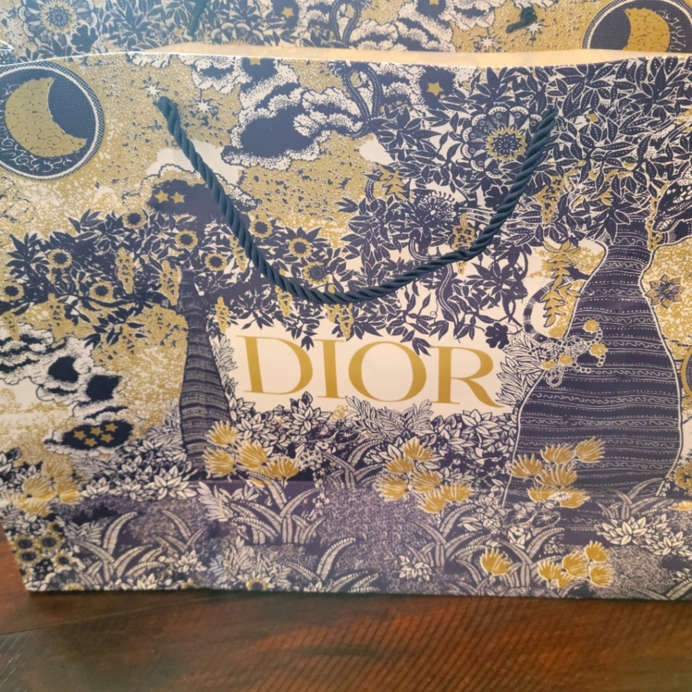 Dior paper package bag Medium